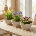Bol décoratif bateau à plantes plastique beige 20×9cm H12cm 3pcs | Floristik24.be