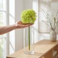 Oignon ornemental artificiel fleur verte Allium Ø18cm 90cm | Floristik24.be