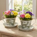 Coupe décorative en métal blanchi antique Ø9cm H8cm 2pcs | Floristik24.be