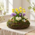 Coupe décorative ronde en branches et mousse avec film intérieur | Floristik24.be