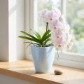 Pot à orchidées brillant Ø12,5cm blanc 1 pce | Floristik24.be