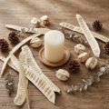 Pod Scaletta blanchi 25 pcs | Floristik24.be