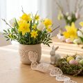 Ruban de velours oeufs de Pâques ruban décoratif crème de Pâques 40mm 5m | Floristik24.be