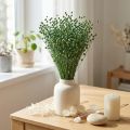 Herbe de lin séchée, verte, 50-55 cm, décorative à faire soi-même | Floristik24.be