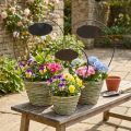 Panier à fleurs avec poignée et plaque en métal, Ø23/20/17cm, lot de 3. | Floristik24.be