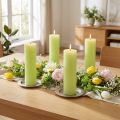 Bougies unies vert citron​​​​​​​ Bougies coniques 50×300mm 4 pcs | Floristik24.be