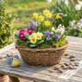 Coupe à fleurs naturelle, coupe décorative à motif de vigne, 31 cm, style rustique, pot de fleurs | Floristik24.be