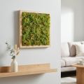 Tapis de mousse artificielle – parfait pour l'image de mousse vert clair 25×25cm | Floristik24.be