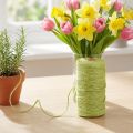 Ruban de jute vert clair cordon de jute ruban jute vert Ø3mm 200m | Floristik24.be