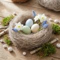 Fibres de palmier naturelles blanchies, 1 kg, pour la décoration et les loisirs créatifs. | Floristik24.be