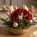 Bouchon de fleur décoration de paquet cadeau de Noël 2,5 cm 15 pièces | Floristik24.be