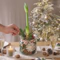 Vase décoratif en verre lanterne verre clair Ø18cm H20cm | Floristik24.be