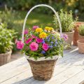 Corbeille à anse, corbeille naturelle à planter, corbeille à fleurs ronde naturelle, blanche H49cm Ø23.5cm | Floristik24.be