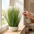 Herbe décorative avec des fleurs de Cosmea dans un bol H45cm | Floristik24.be