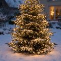 Guirlande lumineuse à riz LED blanc chaud pour l'extérieur 720er 54m | Floristik24.be
