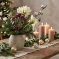 Salignum mûre givrée 25 pcs | Floristik24.be