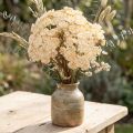 Achillée millefeuille artificielle crème Achillea fleurs artificielles 30cm 6 pcs | Floristik24.be