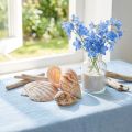 Coquillages décoratifs d'escargot de mer naturels 350 g × 3 pièces | Floristik24.be