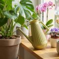 Arrosoir d'intérieur, vert olive, style rétro, 24,5 cm, 1,8 L, arrosoir design, plastique, pour plantes | Floristik24.be