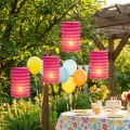 Lampion Train Lanterne Rose Ø10cm H13cm 8pcs | Floristik24.be