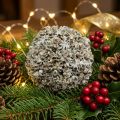 Décoration de Noël Boule de Noël boule de neige blanche Ø10cm | Floristik24.be