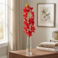 Orchidée Cymbidium rouge 78 cm | Floristik24.be