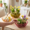 Panier en fil de fer avec poignée en bois. Design pratique. Idéal pour les décorations printanières, à la maison comme au bureau. 17 cm, lot de 6. | Floristik24.be