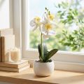 Orchidées artificielles en pot mini orchidées blanches Ø7cm H22cm | Floristik24.be