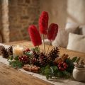 Luffa grand sur bâton rouge 25 pcs | Floristik24.be