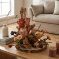 Cônes de protéa exotique séchés (Bellgum) 24–48 cm 580 g - Décoration florale artificielle Afrique du Sud | Floristik24.be