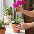 Tuteur pour plantes, tuteur pour fleurs, tuteur pour orchidées, Twister vert, 38 cm | Floristik24.be