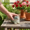 Figurine de grenouille, décoration estivale en céramique pour la maison et le balcon, 12 cm | Floristik24.be