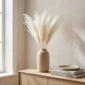 Fleurs séchées, graminées argentées. Décoration naturelle élégante pour la maison et le bureau. 70 cm, 10 pièces. | Floristik24.be