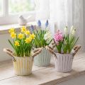 Pot de fleurs décoratif en métal avec poignées, rose/vert/jaune, style shabby chic, Ø 12 cm, H 10 cm, lot de 3 | Floristik24.be