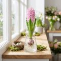 Petit vase en verre Vase à jacinthe Verre clair Ø7cm H13cm | Floristik24.be