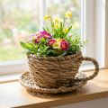 Panier à thé pour une décoration intérieure naturelle et une ambiance charmante 15 cm | Floristik24.be