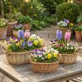 Panier à plantes panier tressé ovale saule 42/34/28cm lot de 3 | Floristik24.be