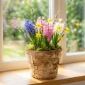 Pot de fleurs rond, décoration naturelle, écorce, pot en bouleau, Ø 12 cm H 10 cm, lot de 5 | Floristik24.be