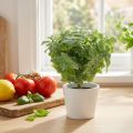 Menthe artificielle verte 25cm 12 pcs | Floristik24.be