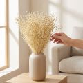Herbe de lin séchée blanchie naturellement 50-55cm 180g | Floristik24.be