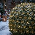 Filet lumineux LED 384 blanc chaud 3m x 3m pour usage extérieur | Floristik24.be