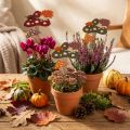 Bâton de fleur Amanite tue-mouches Décoration Hérisson Décoration d'automne 8cm 12 pièces | Floristik24.be