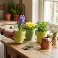 Cache pot en papier, jardinière, pot à planter bleu/vert Ø13cm H12.5cm 4pcs | Floristik24.be