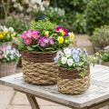 Panier en Osier Bol à Plantes en Osier Naturel Naturel L30/22cm H20/17cm Lot de 2 | Floristik24.be