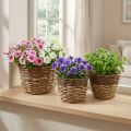 Panier naturel à planter, corbeille déco, coupelles à plantes naturel L21/19/16cm H21/19/16cm lot de 3 | Floristik24.be
