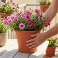 Pot « Irys » plastique terre cuite Ø29cm H24cm 1 pce | Floristik24.be