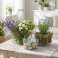 Panier en fil avec anse, paniers nostalgiques, corbeille en métal shabby chic, aspect antique argent, blanc L35/30/25cm H46.5/35/25cm lot de 3 | Floristik24.be