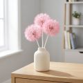 Fleurs séchées géantes de pissenlit, décoration élégante pour la maison, 12 cm, lot de 4 | Floristik24.be