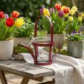 Lanterne verre arrosoir décoratif métal rouge Ø14cm H13cm | Floristik24.be