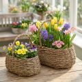 Panier à plantes avec anse panier à fleurs L23/35cm lot de 2 | Floristik24.be